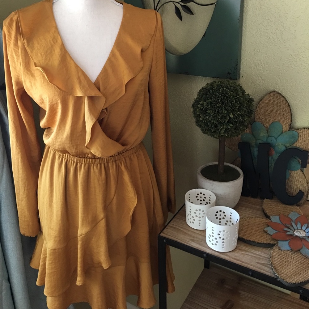Express Silk Dress